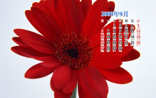 476283 (a): :1440x900